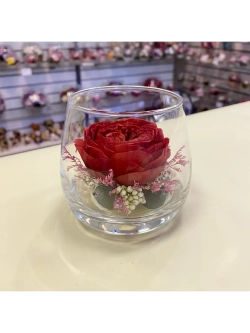 натуральный пион в стекле, вакуум*