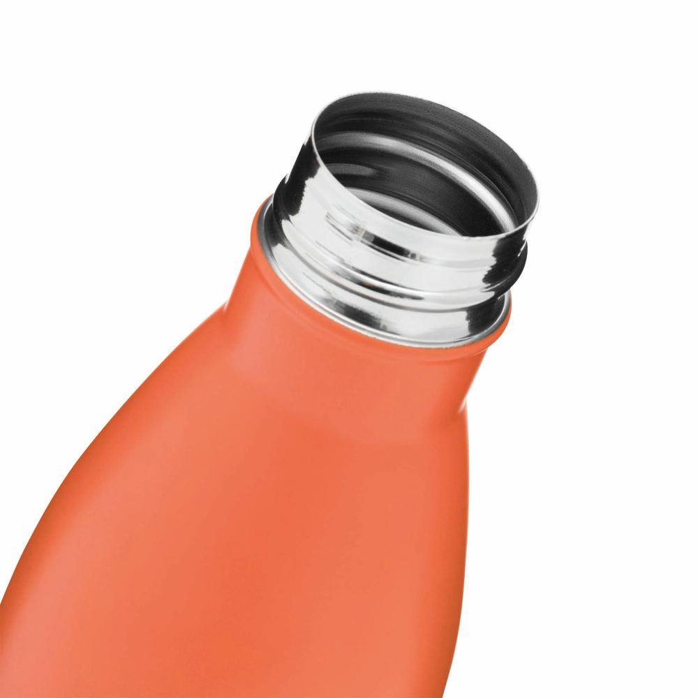 термобутылка PARKY