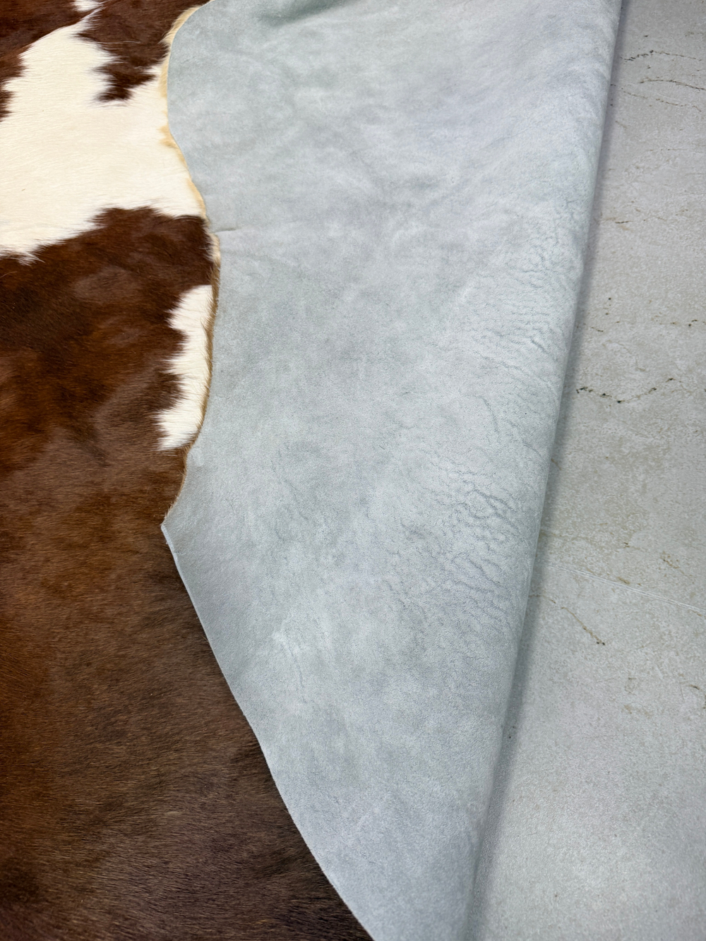 Коровья шкура на пол натуральная. 200 х 190 см