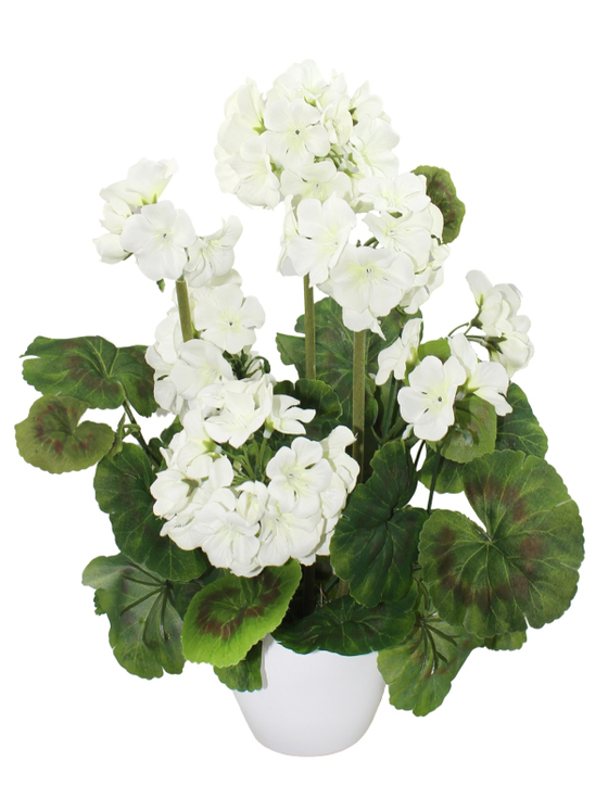Искусственные цветы Герань белая 30см в кашпо