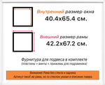 Рама 40x65 для картин и фотографий RP0700256-56