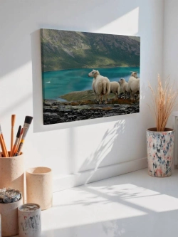 Картина на стену 40 X 50 Овцы в горах