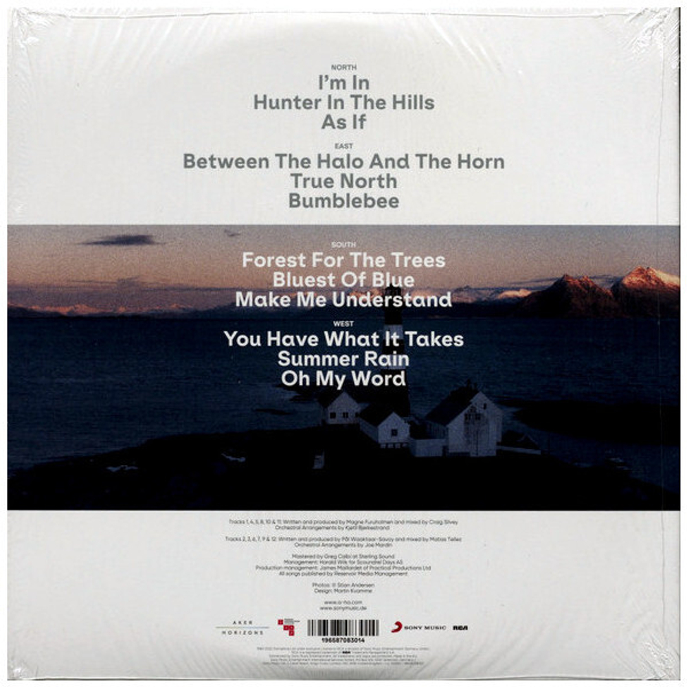 a-ha / True North (2LP)