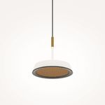 Подвесной светильник Maytoni MOD041PL-L15WG3K