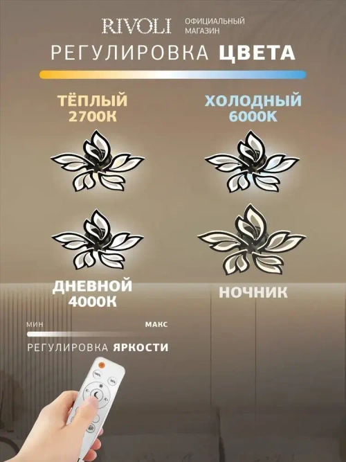 Люстра потолочная светодиодная с пультом ДУ Rivoli черная LED 120 Вт 3000 - 6000 К, светильник на кухню, в детскую, в спальню