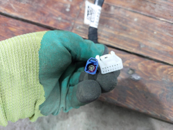 Зеркало правое 10 + 1 pin Haval Jolion 21-нв Б/У Оригинал 8202520XST10A