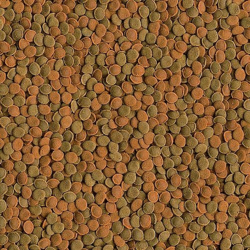 Корм для донных декоративных рыб и ракообразных Tetra Wafer Mix в чипсах, Фасовка 20 г Корм для донных декоративных рыб и ракообразных Tetra Wafer Mix в чипсах, Фасовка 20 г