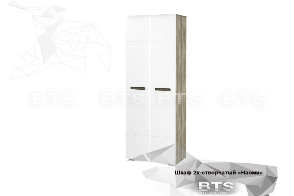 Наоми (BTS) Шкаф двухдверный