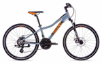 Подростковый велосипед Giant XtC Jr Disc 24 (2020)