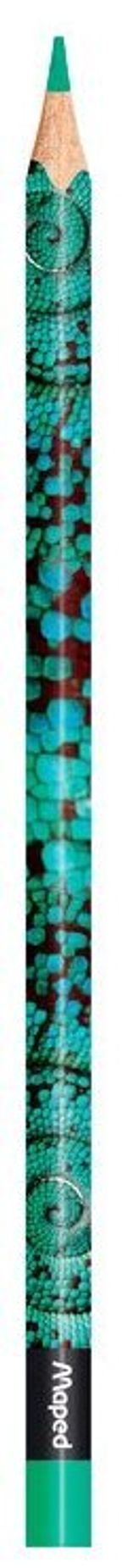 Карандаши цветные MAPED (Франция) "Color'Peps Animals'", 24 цвета, трехгранные, заточенные, европодвес, 832224