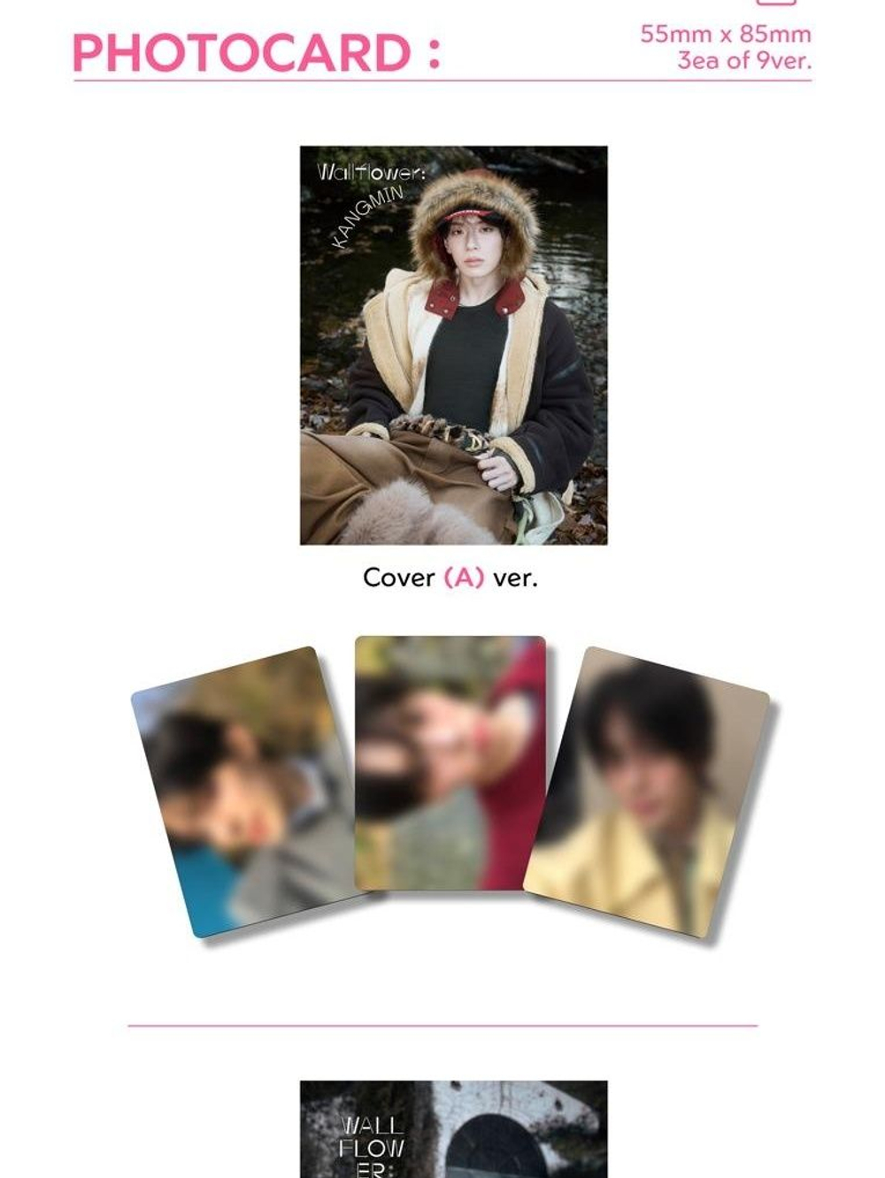 публикация esquire PHOTOBOOK - WALLFLOWER KANGMIN KANGMIN A Type