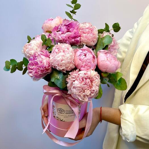 11 пионов Сара Бернар с эвкалиптом в шляпной коробке. Цветы в коробке 025 Chalet Green