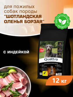 Корм сухой для пожилых собак породы Шотландская оленья борзая старше 5 лет, с индейкой, 12 кг, QUATTRO