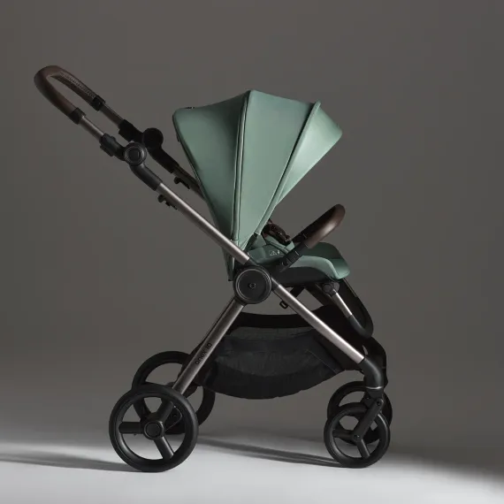 Коляска ANEX iQ Premium 2 в 1 Olly