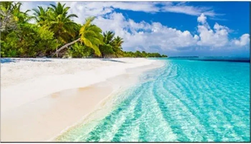 Панель Vestel  WY55B-2H