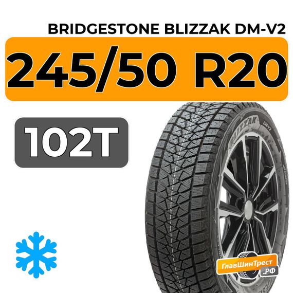 Bridgestone Blizzak DM-V2 245/50 R20 102T