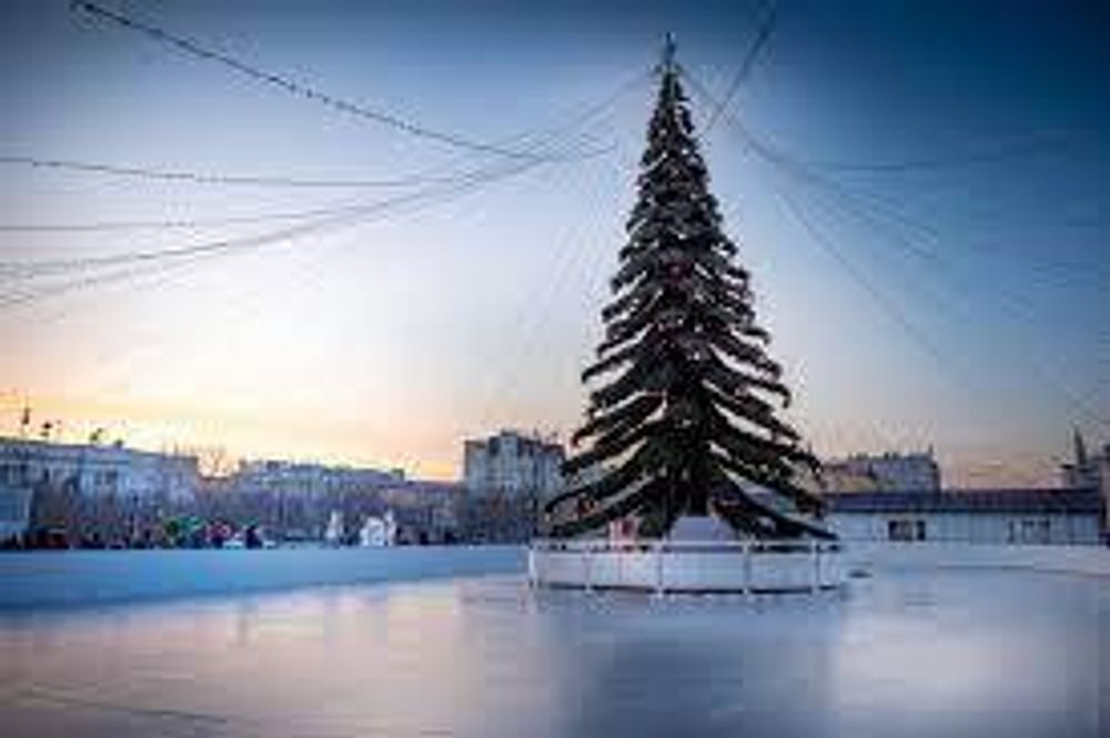 Светодинамическая елка ствольная - встроенная гирлянда: Теплый свет - "Таежная" от 11 до 21 м