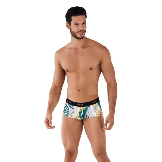 Мужские трусы хипсы белые с принтом Clever Moda PURPOSES LATIN BOXER 079110