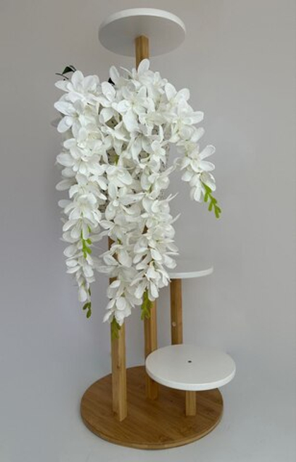 Вистерия (Глициния) / Арт 1116