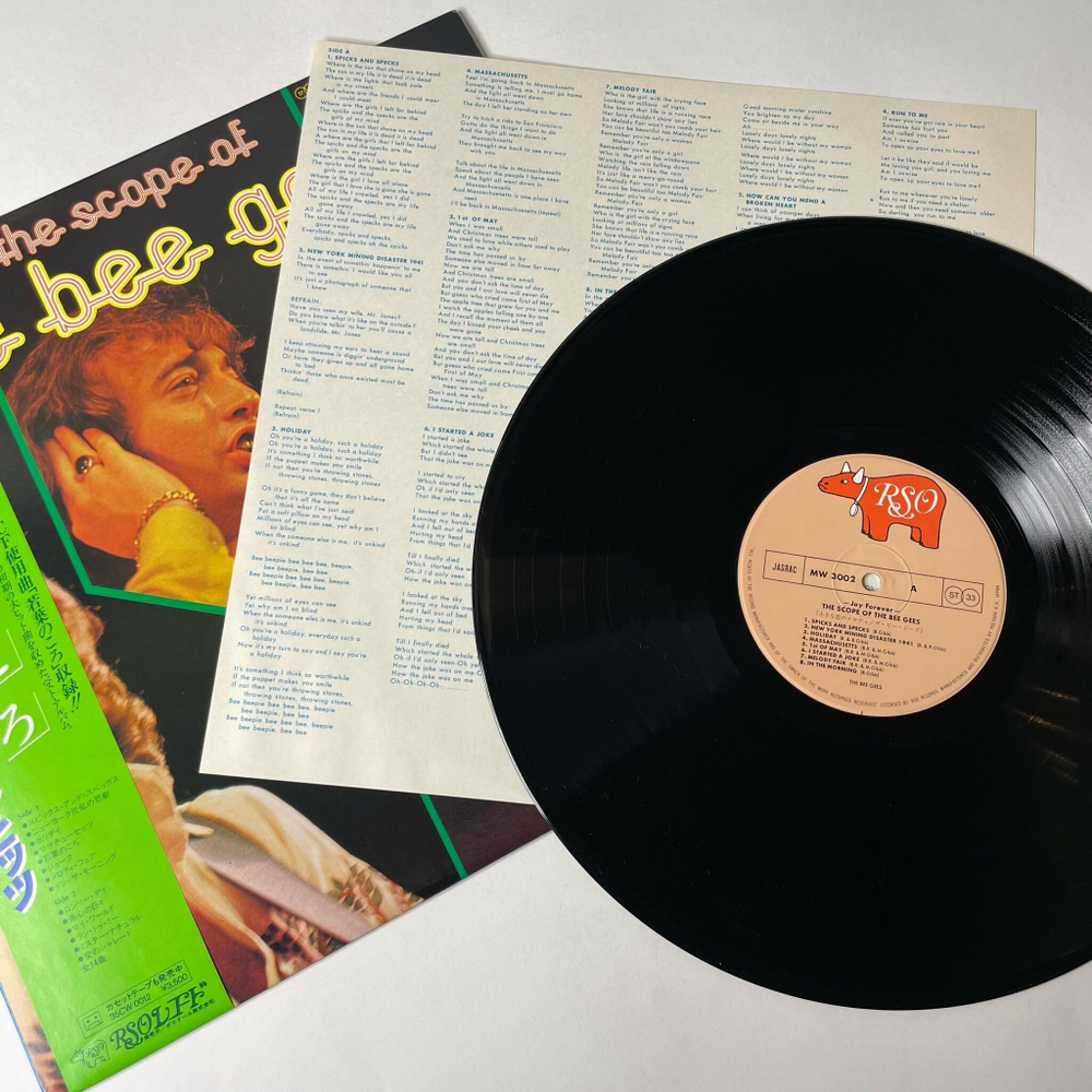 Винтажная виниловая пластинка LP The Scope Of The Bee Gees (Japan 1975) (Obi) Lonely Days