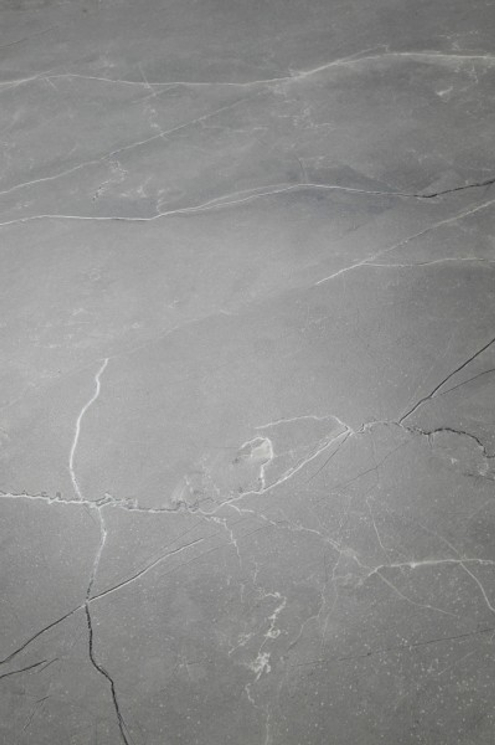 PULPIS NERO CR6011-A