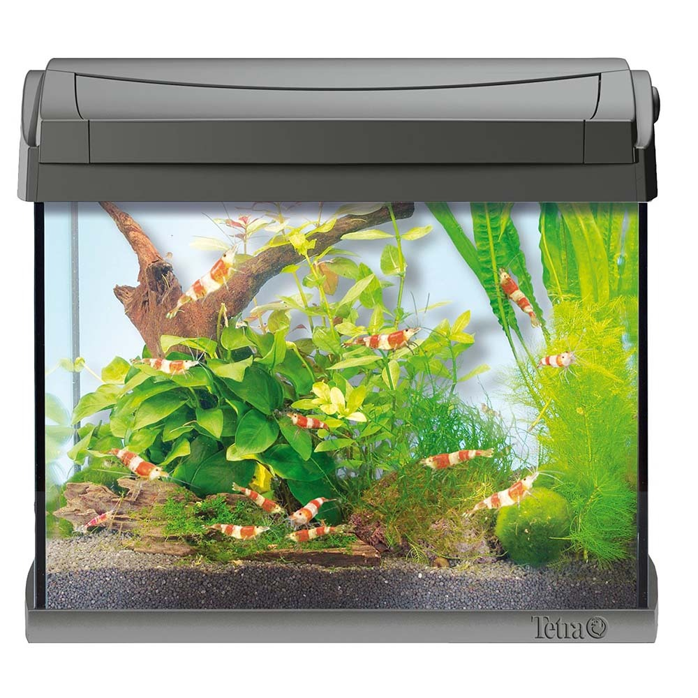 Tetra AquaArt Goldfish LED 20 л (серый) - прямоугольный аквариум с LED светом и фильтром для золотых рыбок