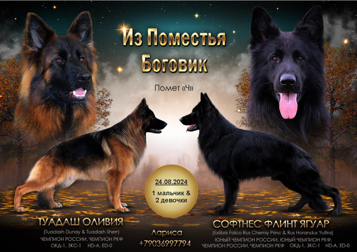 Помет "Ч"