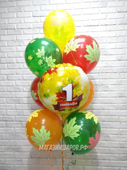 Набор шаров "День знаний"