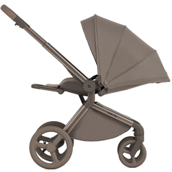 Детская коляска Anex Flo 2 в 1 Yuki