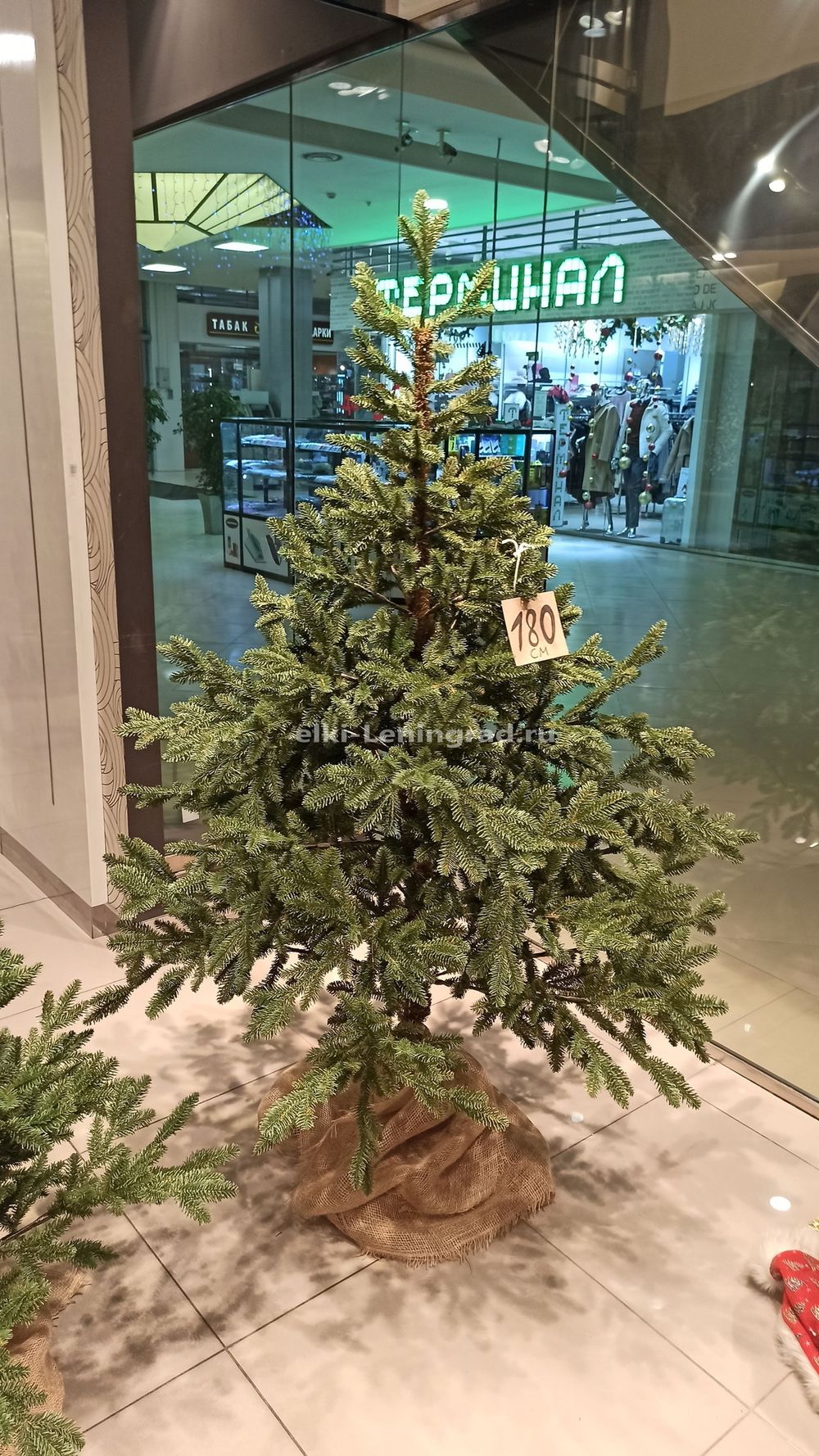 Искусственная ель на ножке «Датская» (хвоя литая) 180 см / 1,8 м