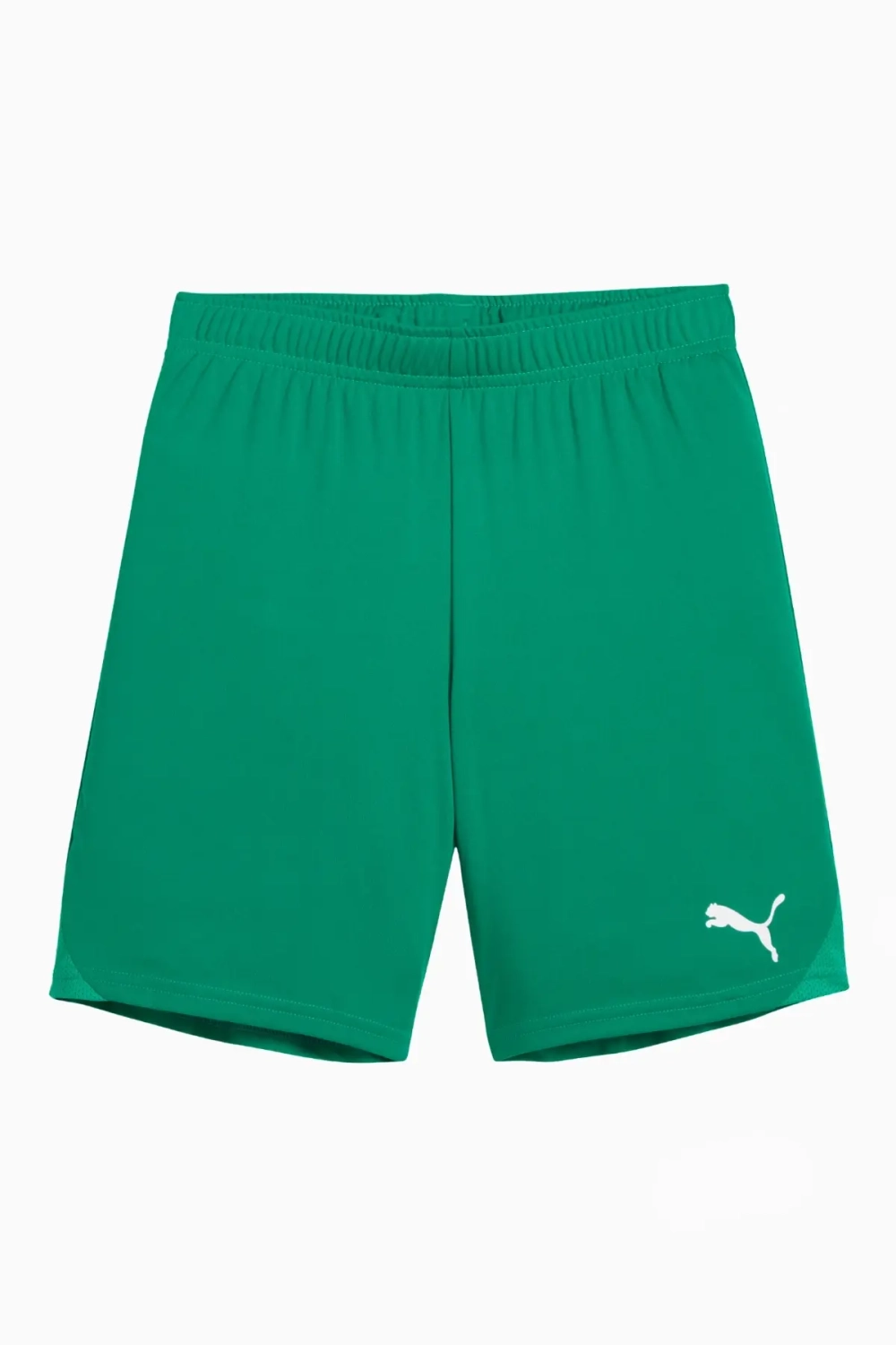 Шорты Puma teamGOAL Junior - зеленый
