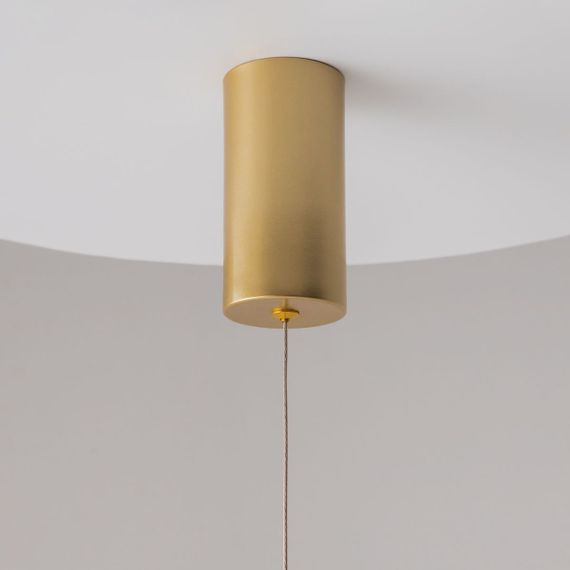 Подвесной светильник Maytoni Ray P022PL-L10MG3K