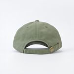 Кепка Anteater 6Panel (haki)