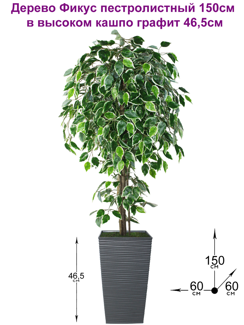 Искусственное дерево Фикус пестролистный 150см в высоком кашпо графит 46 см