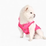 Жилет «Colour»