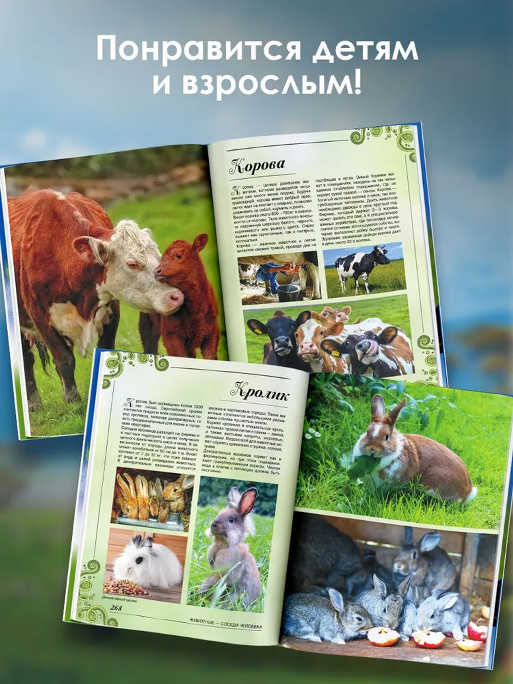 Большая книга о животных. 1001 фотография