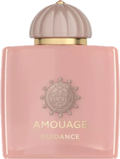 Amouage Guidance EDP 100 ml