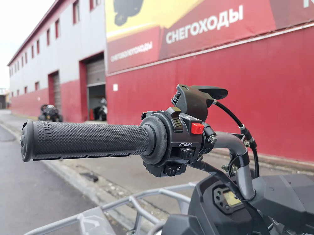 Квадроцикл PROMAX RENEGADE 280 (2025)