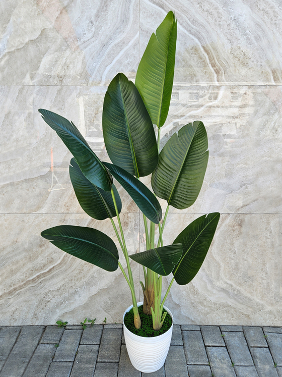 Стрелиция Королевская искусственная в кашпо