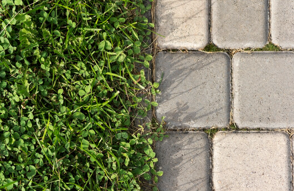 Весенний ремонт дорожек: восстановление покрытий после зимы