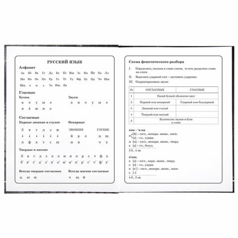 Дневник 1-4 класс 48 л., твердый, BRAUBERG, выборочный лак, с подсказом, "Крутой байк", 106362