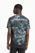 Футболка adidas FC Bayern 24/25 Away - многоцветный