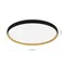 SLE1810-402-01 Светильник потолочный Черный, Золотистый/белая LED 1*42W 4000K HELST