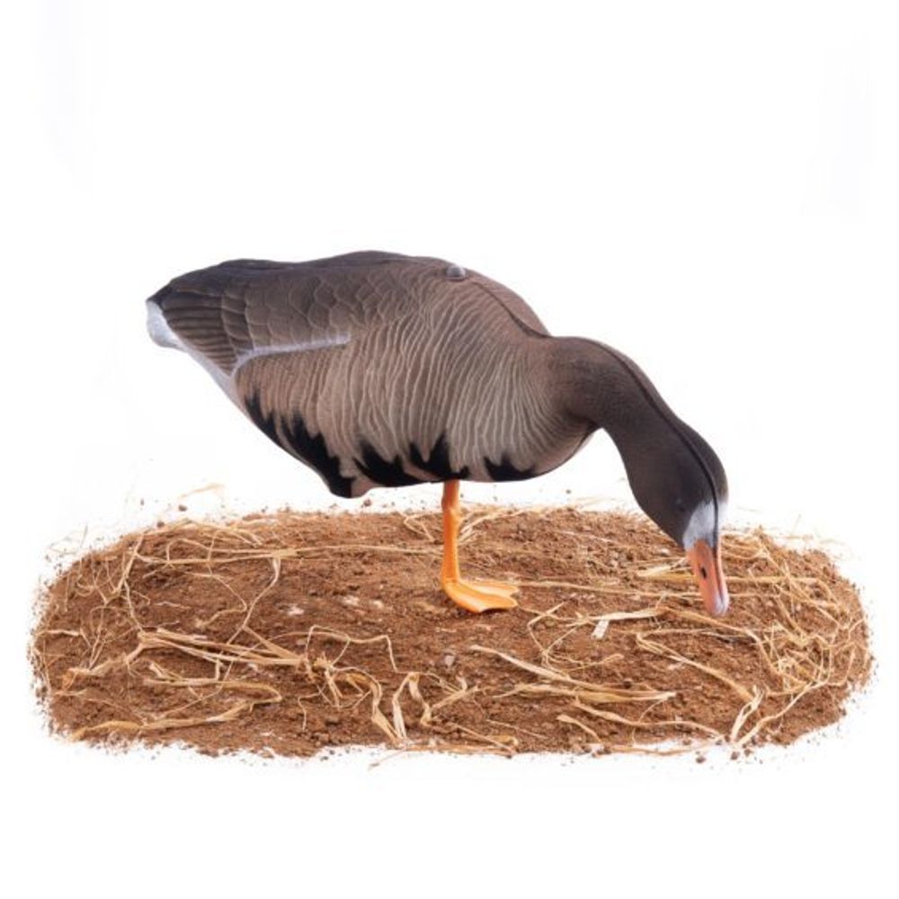 Комплект чучел Гусь Белолобый (10шт) S-XPE B622X-UV "Живое перо",  "North Way"