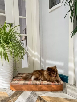 Лежак для собак ортопедический 70*50см