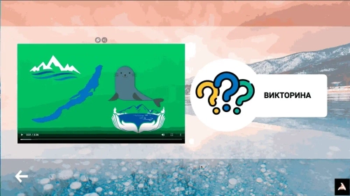 Программное обеспечение KIOSK для детских садов