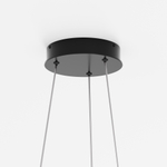 Подвесной светодиодный светильник Maytoni Rim MOD058PL-L54BK