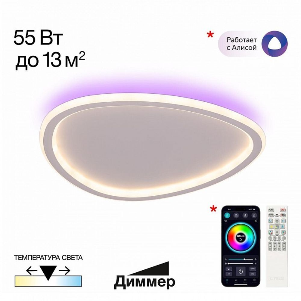 Накладной светильник Citilux ТRIO CL215B240E