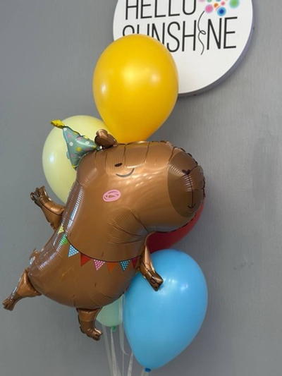 Набор шаров с капибарой