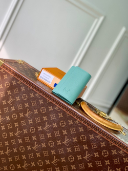 Louis Vuitton Victor Wallet